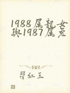 1988属龙女与1987属兔男婚配吗