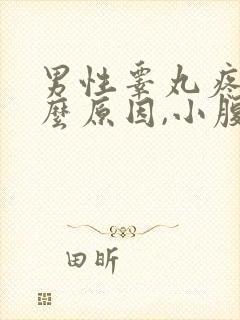 男性睾丸疼痛什么原因,小腹有点疼