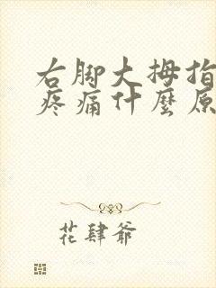 右脚大拇指关节疼痛什么原因引起的封面