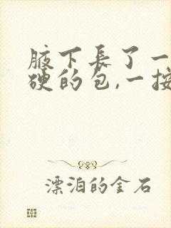 腋下长了一颗硬硬的包,一按就痛