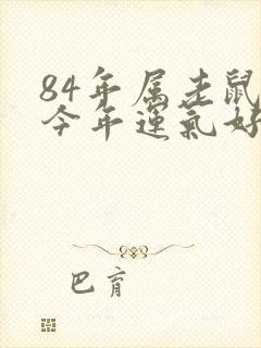 84年属老鼠的今年运气好不好封面