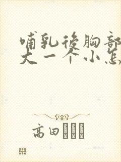 哺乳后胸部一个大一个小怎么办啊