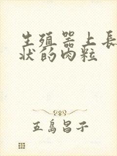 生殖器上长乳头状的肉粒