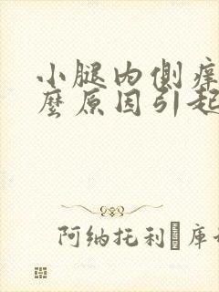 小腿内侧痒是什么原因引起的