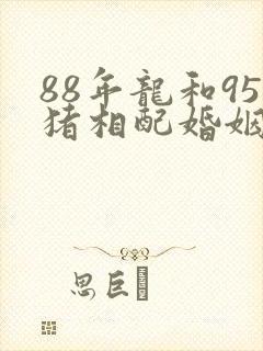 88年龙和95猪相配婚姻如何