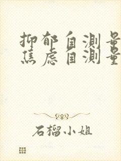 抑郁自测量表和焦虑自测量表