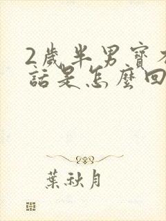 2岁半男宝不说话是怎么回事封面