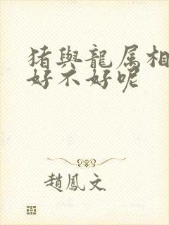 猪与龙属相婚配好不好呢封面