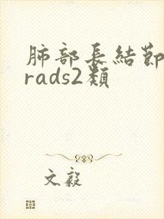 肺部长结节lurads2类封面