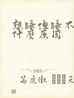 想睡但睡不着是什么原因