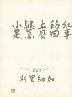 小腿上的红点点是怎么回事