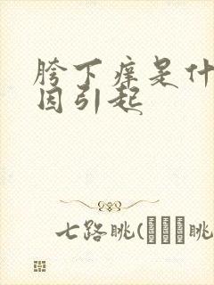 胯下痒是什么原因引起