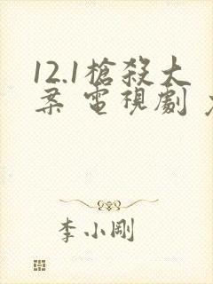 12.1枪杀大案 电视剧 免费观看封面