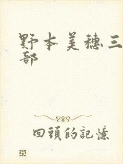 野本美穗三级全部封面