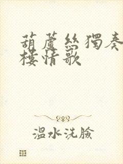 葫芦丝独奏曲竹楼情歌封面