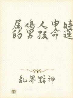 属鸡人申时出生的男孩命运怎么样