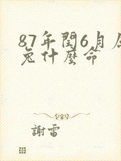 87年闰6月属兔什么命