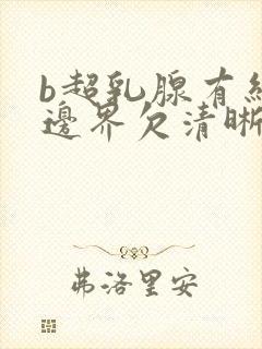 b超乳腺有结节边界欠清晰