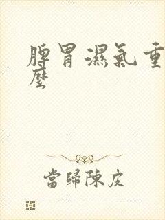 脾胃湿气重喝什么