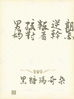 男孩叛逆期和妈妈对着干怎么办