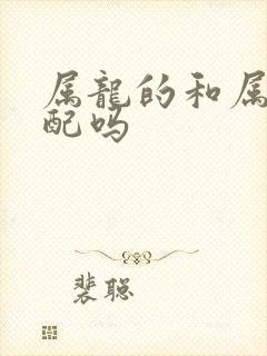 属龙的和属兔相配吗