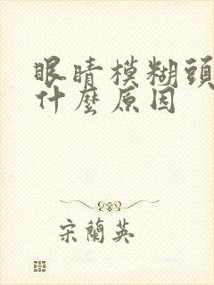 眼睛模糊头晕是什么原因