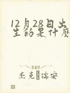 12月28日出生的是什么星座