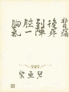 胸腔到后背像岔气一阵疼痛怎么办