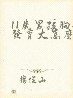 11岁男孩胸部发育大怎么回事