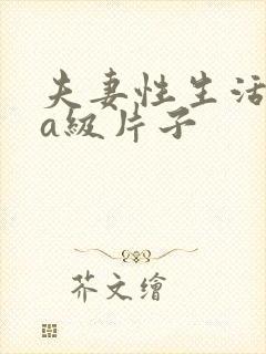 夫妻性生活高清a级片子