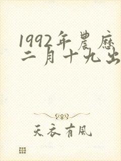 1992年农历二月十九出生的猴命运