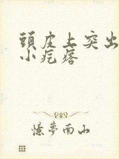 头皮上突出来的小疙瘩