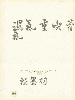 湿气重吃藿香正气封面