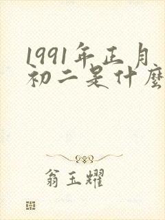 1991年正月初二是什么命