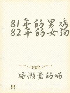 81年的男鸡和82年的女狗婚配好吗?封面