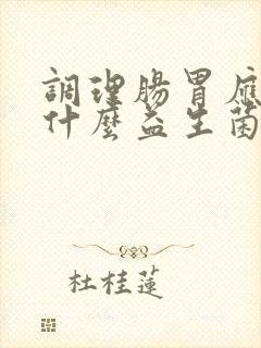 调理肠胃应该吃什么益生菌