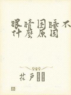 眼睛困睡不着是什么原因