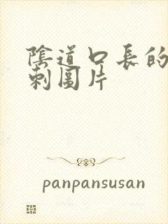 阴道口长的小肉刺图片