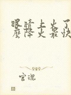 眼睛上火了吃什么降火最快