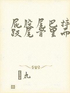 屁股尾巴摔了一跤尾骨里面疼