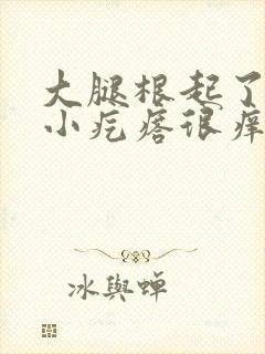 大腿根起了一片小疙瘩很痒封面