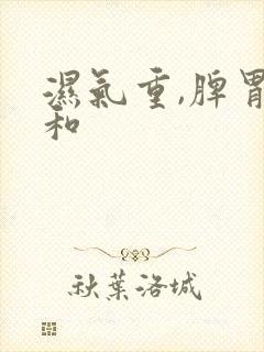 湿气重,脾胃不和