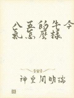 八五的牛今年运气怎么样