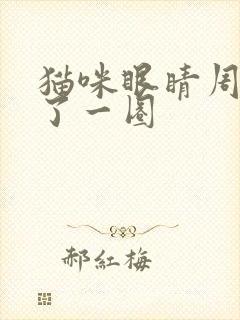 猫咪眼睛周围红了一圈