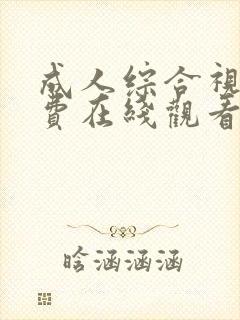 成人综合视频免费在线观看