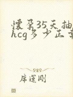 怀孕35天抽血hcg多少正常封面