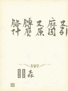 胳膊又麻又疼是什么原因引起的