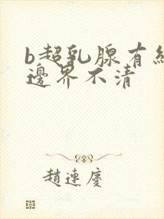 b超乳腺有结节边界不清