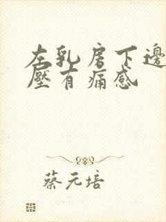 左乳房下边缘按压有痛感