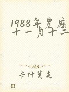 1988年农历十一月十二日出生命运封面